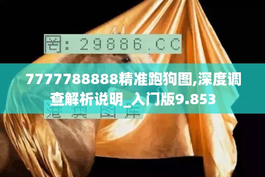 7777788888精准跑狗图,深度调查解析说明_入门版9.853