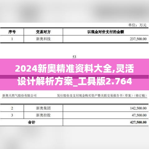 2024新奥精准资料大全,灵活设计解析方案_工具版2.764