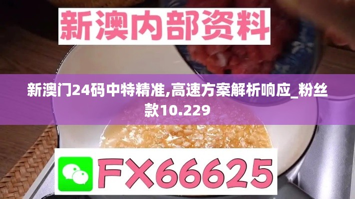 新澳门24码中特精准,高速方案解析响应_粉丝款10.229