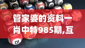 管家婆的资料一肖中特985期,互动性策略解析_The6.149