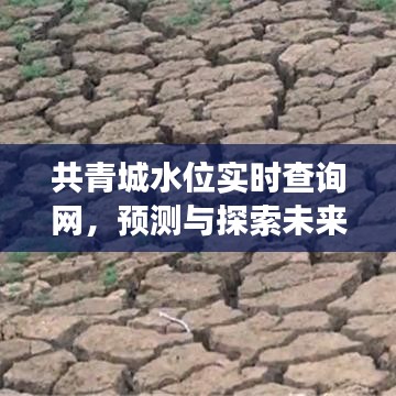 共青城水位实时查询网，预测水位变迁，探索未来趋势