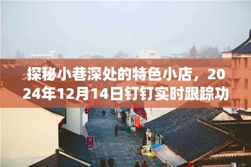 探秘小巷深处的特色小店与钉钉实时跟踪功能的惊喜之旅纪实（附日期，2024年12月14日）