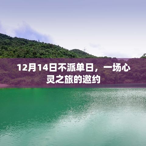 心灵之旅的特别邀约，不派单日（12月14日）