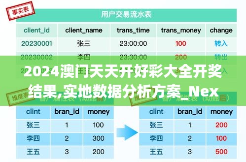 2024澳门天天开好彩大全开奖结果,实地数据分析方案_Nexus3.895