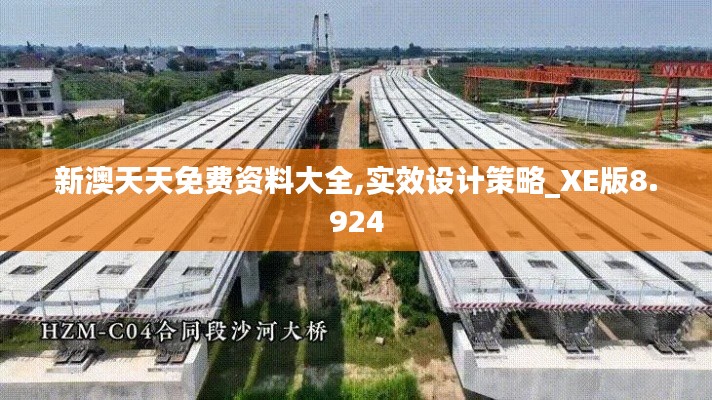 新澳天天免费资料大全,实效设计策略_XE版8.924