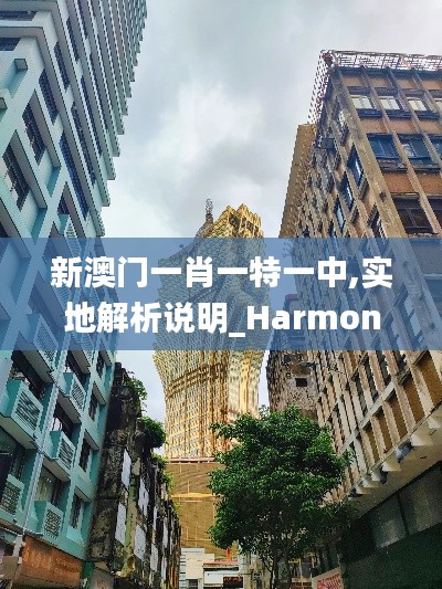 新澳门一肖一特一中,实地解析说明_Harmony款5.319
