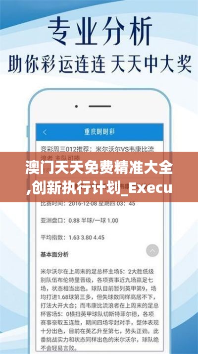 澳门天天免费精准大全,创新执行计划_Executive19.258