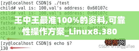 王中王最准100%的资料,可靠性操作方案_Linux8.380
