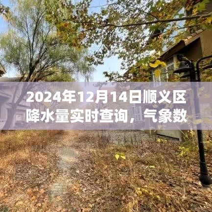 顺义区天气预报，实时降水量查询与气象数据分析（2024年12月14日）