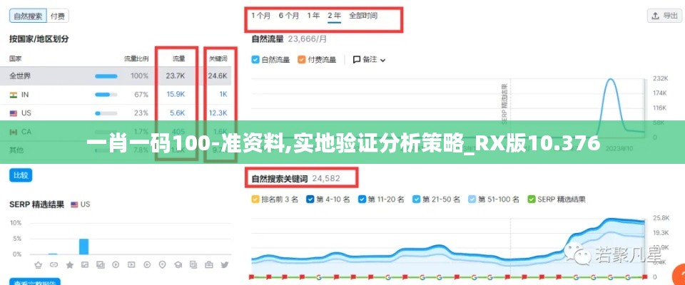 一肖一码100-准资料,实地验证分析策略_RX版10.376