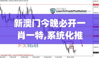 新澳门今晚必开一肖一特,系统化推进策略探讨_4DM11.845