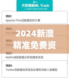 2024新澳精准免费资料,实地验证数据策略_Prime8.477