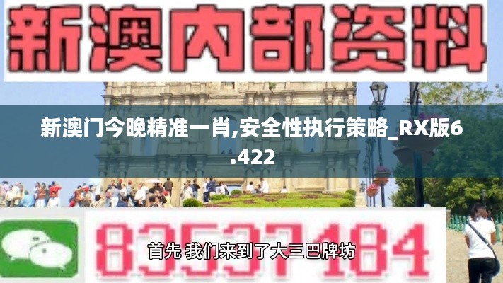 新澳门今晚精准一肖,安全性执行策略_RX版6.422