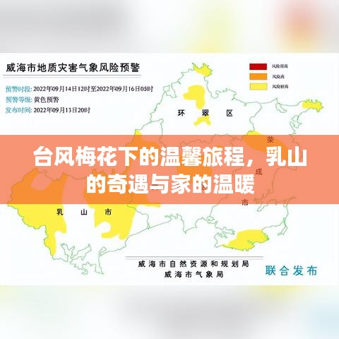 台风梅花下的温馨旅程，乳山奇遇与归家暖意