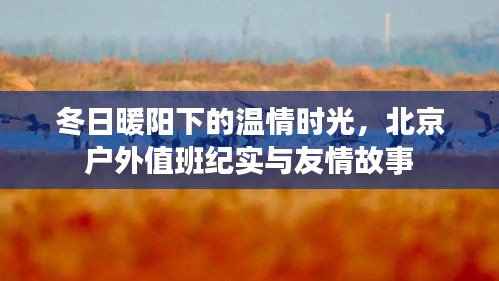 冬日暖阳下的温情时光，北京户外值班与友情故事纪实