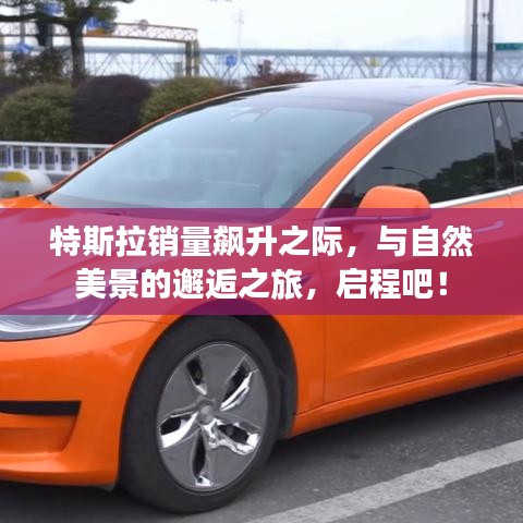 特斯拉销量飙升之际的邂逅之旅，与自然美景的启程！