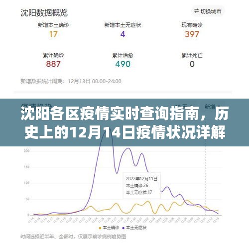沈阳各区疫情实时查询指南及历史疫情状况详解，聚焦十二月十四日数据