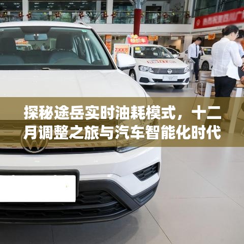 探秘途岳实时油耗模式，汽车智能化时代的启示与十二月调整之旅