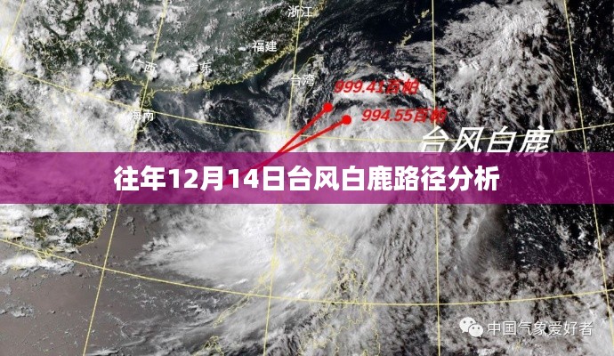 往年12月14日台风白鹿路径分析回顾