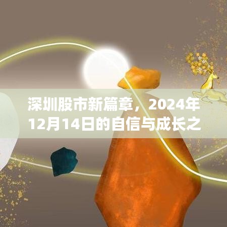 深圳股市新篇章，自信与成长之歌——2024年12月14日回顾与展望