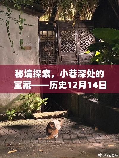 秘境探索揭秘，宝藏小巷的历史宝藏与搜索引擎下的惊喜发现（实时更新）