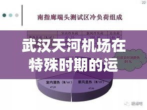 武汉天河机场特殊时期运营状况观察与反思