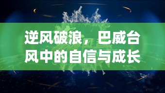 巴威台风中的自信与成长之舞，逆风破浪的挑战之旅