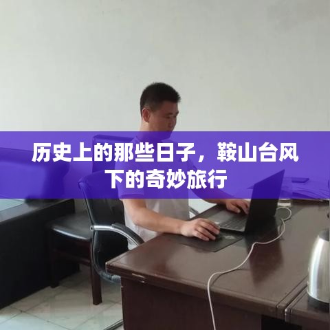 鸟声兽心