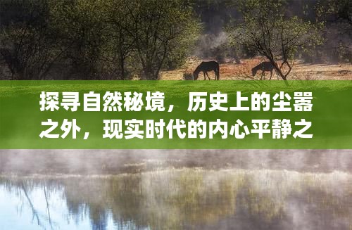 探寻自然秘境，心灵之旅，跨越历史与现实的平静之旅