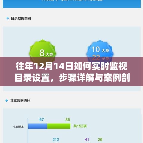 往年12月14日目录设置实时监视详解，步骤与案例剖析