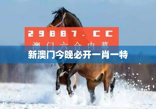 新澳门今晚必开一肖一特