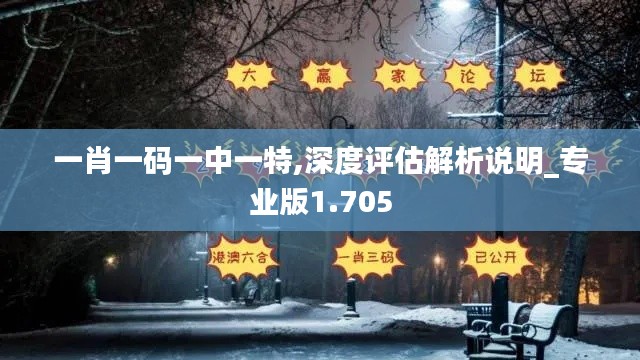 一肖一码一中一特,深度评估解析说明_专业版1.705
