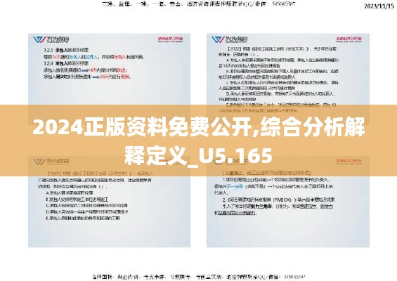 2024正版资料免费公开,综合分析解释定义_U5.165