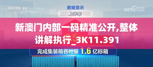 新澳门内部一码精准公开,整体讲解执行_3K11.391