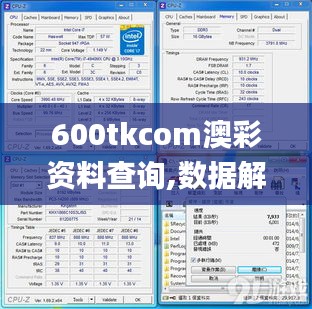 600tkcom澳彩资料查询,数据解析计划导向_RX版4.738