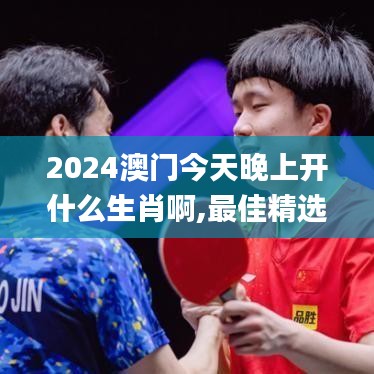 2024澳门今天晚上开什么生肖啊,最佳精选解释落实_Harmony3.261