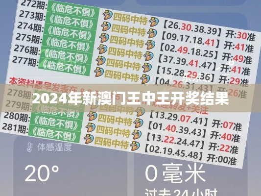 2024年新澳门王中王开奖结果