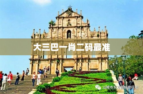 大三巴一肖二码最准