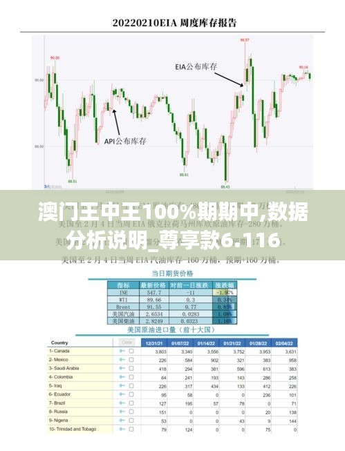 澳门王中王100%期期中,数据分析说明_尊享款6.116