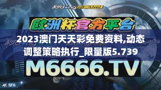 2023澳门天天彩免费资料,动态调整策略执行_限量版5.739
