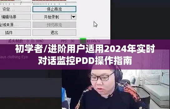 初学者与进阶用户适用的PDD操作指南，2024年实时对话监控实操指南