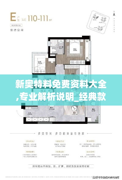 新奥特料免费资料大全,专业解析说明_经典款9.892