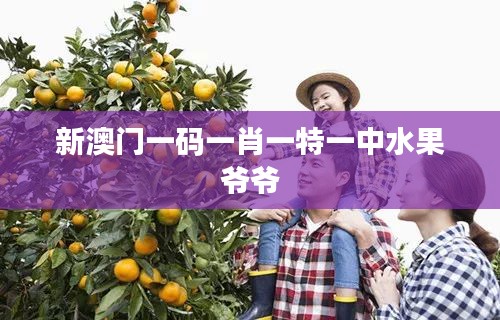 新澳门一码一肖一特一中水果爷爷