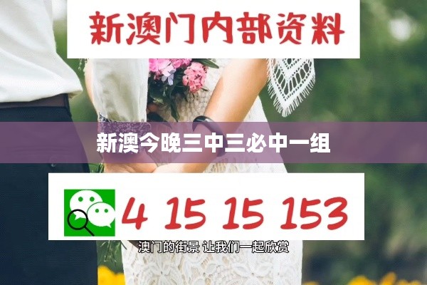 新澳今晚三中三必中一组