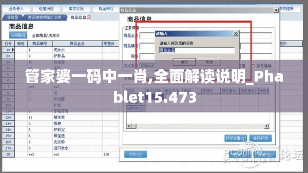 管家婆一码中一肖,全面解读说明_Phablet15.473