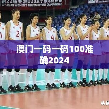 澳门一码一码100准确2024