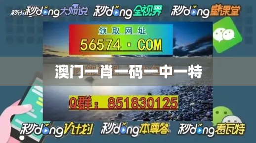 澳门一肖一码一中一特