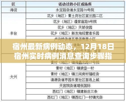 宿州最新病例动态及实时查询指南，12月18日最新消息