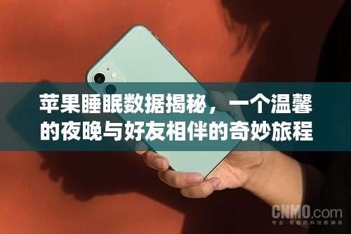 苹果睡眠数据揭秘，与好友相伴的温馨夜晚奇妙旅程