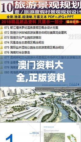 澳门资料大全,正版资料查询,未来规划解析说明_精英版5.841